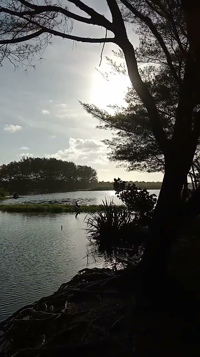 Telaga Sunyi#shorts #viral #telagasunyi #koesplus ‎@yantimamaida16 