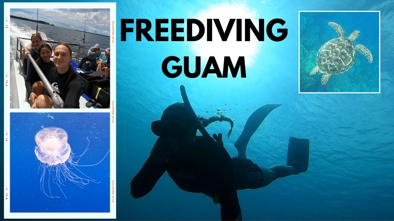 FREEDIVING GUAM EXCITING MARINE ENCOUNTERS YouTube