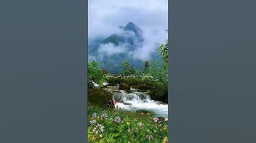 ﴿ فَاذْكُرُونِي أَذْكُرْكُمْ وَاشْكُرُوا لِي وَلَا تَكْفُرُونِ﴾#القرآن #الآية 152 من سورة البقرة