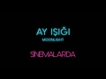 Ay Işığı / Moonlight - Fragman 4
