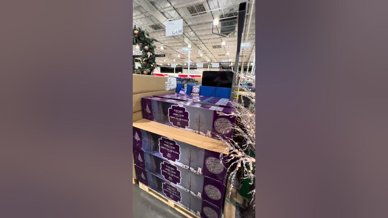 COSTCO 🎄Christmas 7
