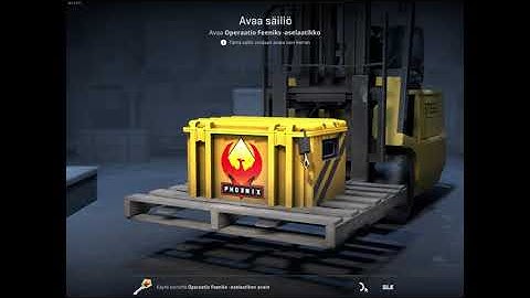 Opening a case everyday until i get a gold | Day 13