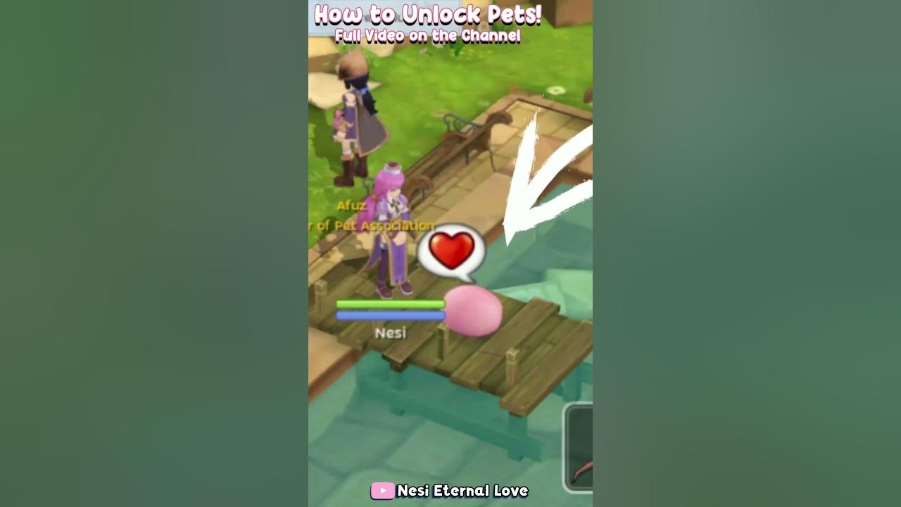 How to Catch Pets? in Ragnarok Mobile RagnarokMEternalLove YouTube