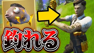 ぜるふぃー Zellfy India Vlip Lv