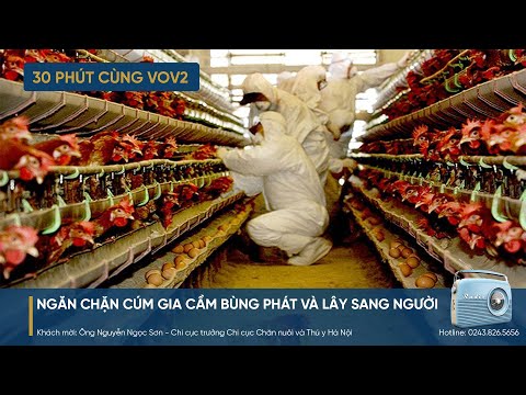 Video [trực tiếp] 30 PHÚT CÙNG VOV2 (25/10): - youtube
