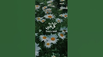 كل نفس ذائقة الموت | تلاوة خاشعة وجميلة ❤