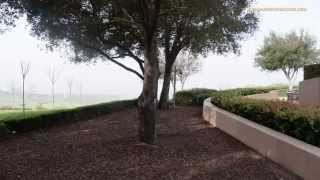 Morning Fog Hyperlapse
