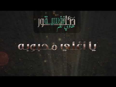 هاوي نغم يا أغلي محبوبة من ألبوم دكتور نفسيىة