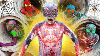 Team Spider-Man Vs Bad Guy Team Spider-Man Across The Spider-Verse In Real Life