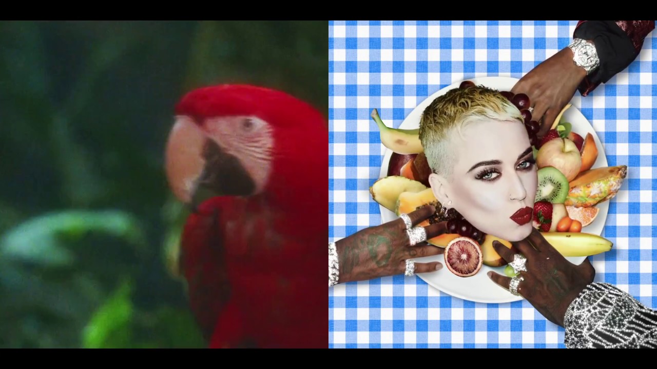 Calvin Harris ft./vs. Katy Perry - Bon Feels ft. Migos (Premium Mashup)