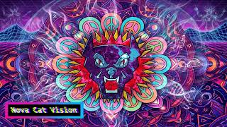 Nova Cat Vision