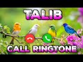 Talib Name Ringtone Download Mp3 | Talib Caller Tune | Trending Ringtone 2026