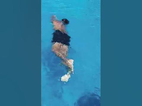 My hero in baburao ke style mai 😍 swimming 🏊‍♀️ - YouTube