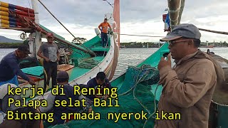 Kerja di Rening selat Bali Alhamdulillah Bintang armada masih nyerok ikan
