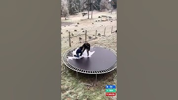 Engineer Viral 019 #adamrose #construction #engineering #workers #moments