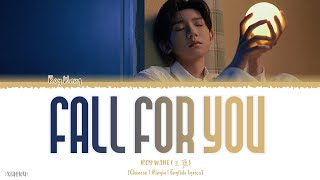 Roy Wang (王源) - Fall for you (流星也為你落下來了) Lyrics