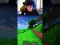 MINECRAFT MA... OGNI 1S MI TRASFORMO IN UN MOB RANDOM