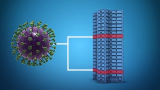 New cases show novel coronavirus could spread via sewage pipes