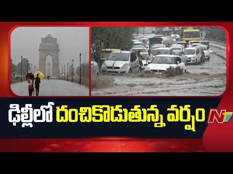 Heavy Rain in Delhi | NTV Telugu - NTVTELUGU