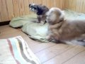 おんな心