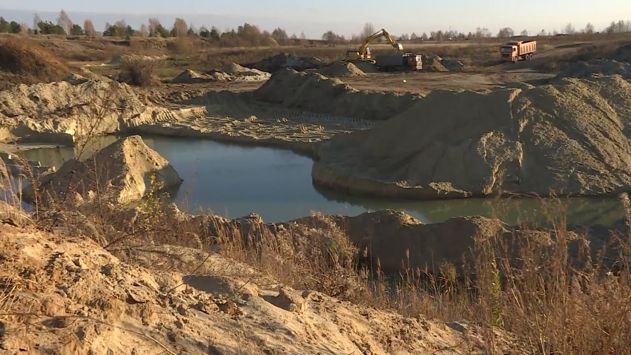 Останки 15-метрового плезиозавра нашли в Шацком районе