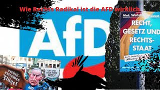 Afd Wirklich Rechts Radikal ??? Dokuhd