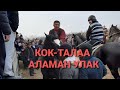 МЫНДАЙ УЛАК КОК ТАЛААДА БОЛОТ.