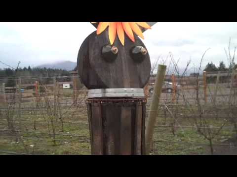 Angel Vineyard Photo 1