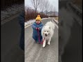雪道を散歩 #赤ちゃん #犬 #baby #dog #癒し #babyshorts #dogshorts