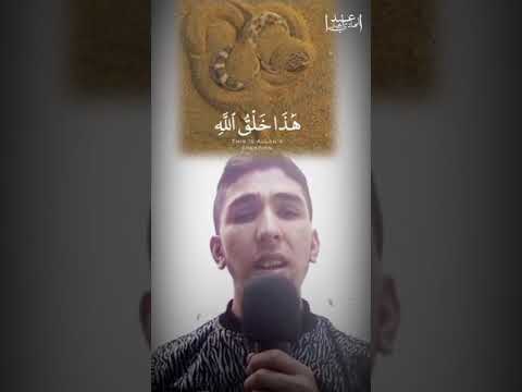 الأفعى المجلجلة في رمال الصحراء سبحان الله هذا خلق الله تلاوة رائعة