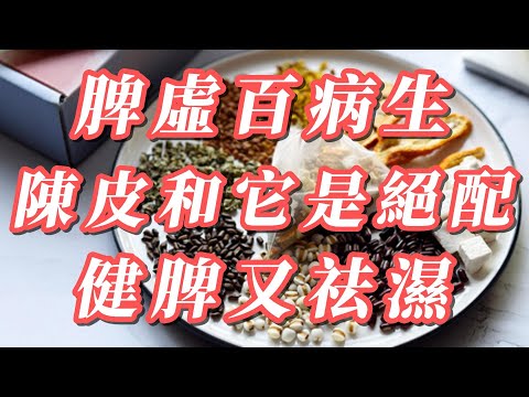 脾虛百病生，春天不能只養肝，還要養脾胃，陳皮和它是健脾祛濕絕配，排出全身濕氣，一身輕鬆！ | 養生健康小妙招