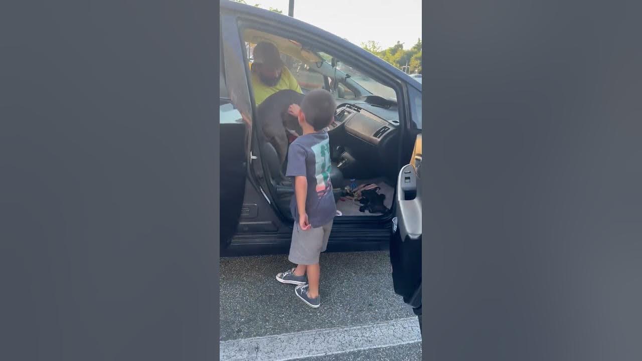 Dog Reunites With Family After Being Separated for 2 Years and 450