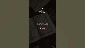 سورة الواقعة #احمدالعجمي #القرآن_الكريم #المصحف #لايك #دويتو #اكسبلور #تيك_توك #reda blt