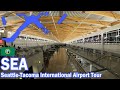 Complete Airport Tour - SEA - Seattle-Tacoma International Airport