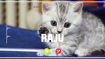 RAJU Name Ringtone || RAJU naam ki ringtone | RAJU name smart ringtone | iphone ringtone