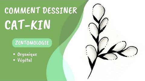 Comment dessiner le tangle Cat-kin ?