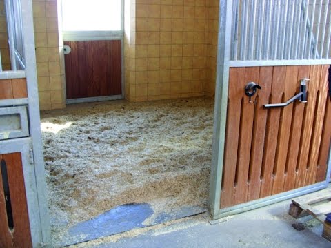 C'est quoi un bon sol de box pour chevaux? - Vidéo Horse Stop