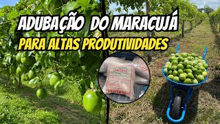 Adubação do maracujá - Melhor adubo para aumentar a produtividade