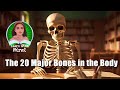 The Skeletal System Unveiled: The Structure and Function of Our Bones