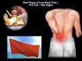 Red Flags of Low Back Pain, When You Start to Worry -Everything You Need To Know -Dr. Nabil Ebraheim