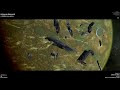 Welcome to my very active and war focused X4 foundations universe - 4K quality