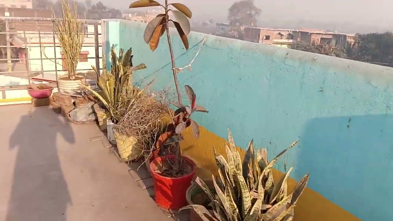 Morning# blog part 1#