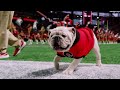 2023 SEC Football Championship: Cinematic Recap