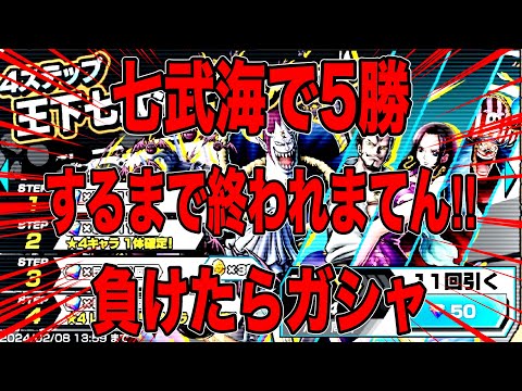 七武海キャラで5勝するまで終われまてん‼️負けたら1ガシャ‼️【バウンティラッシュ】