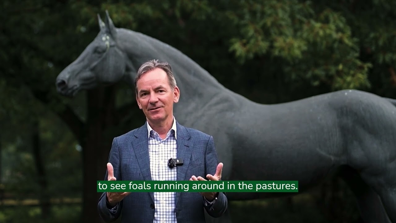 Gestüt Fährhof: Wo Tradition und Zukunft der Pferdezucht verschmelzen