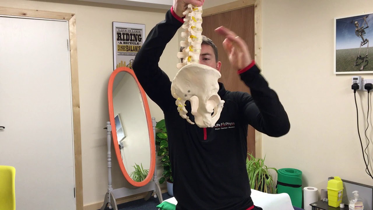 Hockey Video Series Low back mobility exercise YouTube