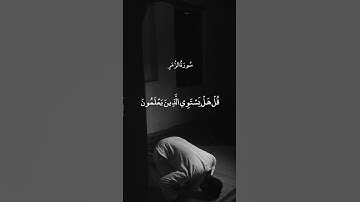 أَمَّنْ هُوَ قَانِتٌ آنَاءَ اللَّيْلِ || سورة الزمر || عبد الباسط عبد الصمد | AbdelBasset AbduSamad