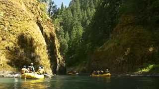 White Salmon River Rafting Full-Day Trip with Wet Planet Whitewater