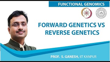 Forward Genetics vs Reverse Genetics