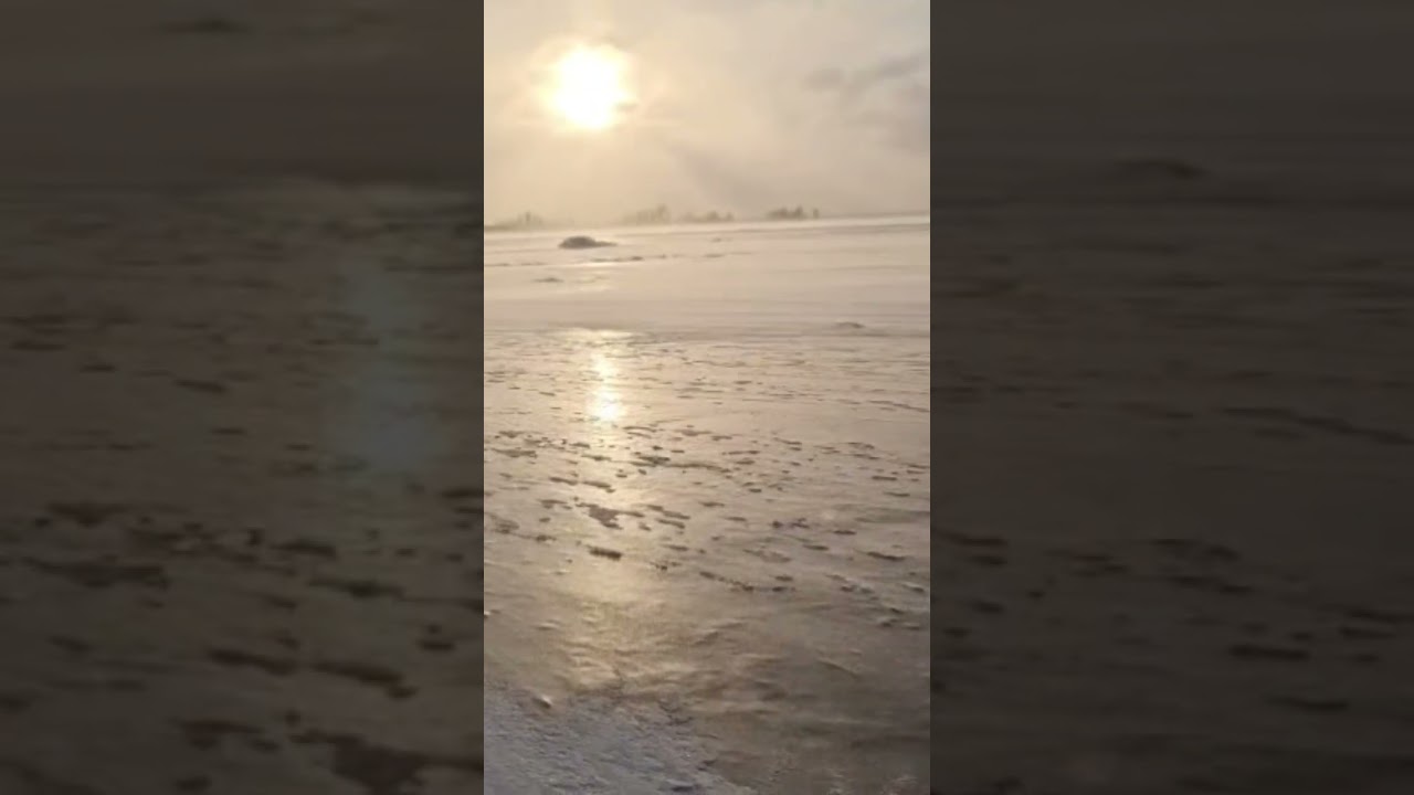 река Нёмда сейчас